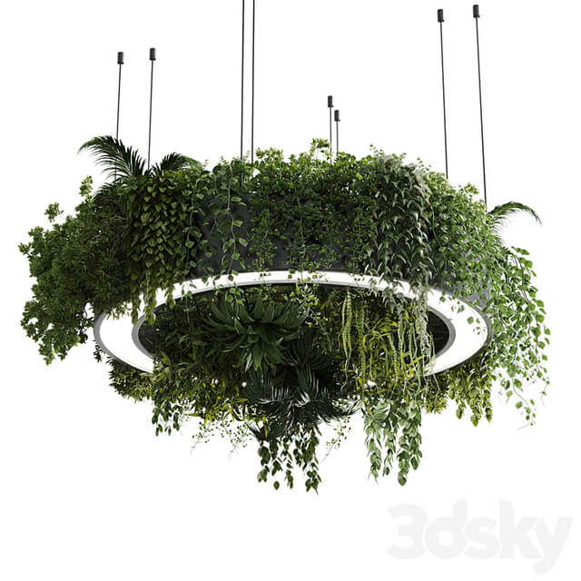 Circle pot light pendant plant light hanging 13 vray