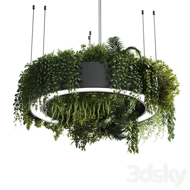 Circle pot light pendant plant light hanging 13 vray