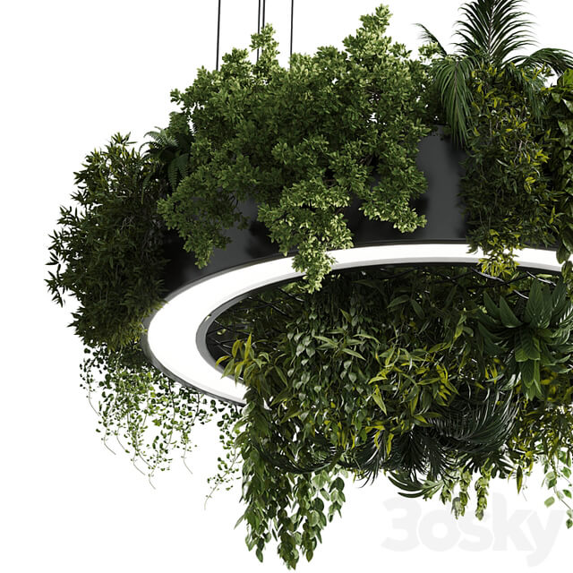 Circle pot light pendant plant light hanging 13 vray