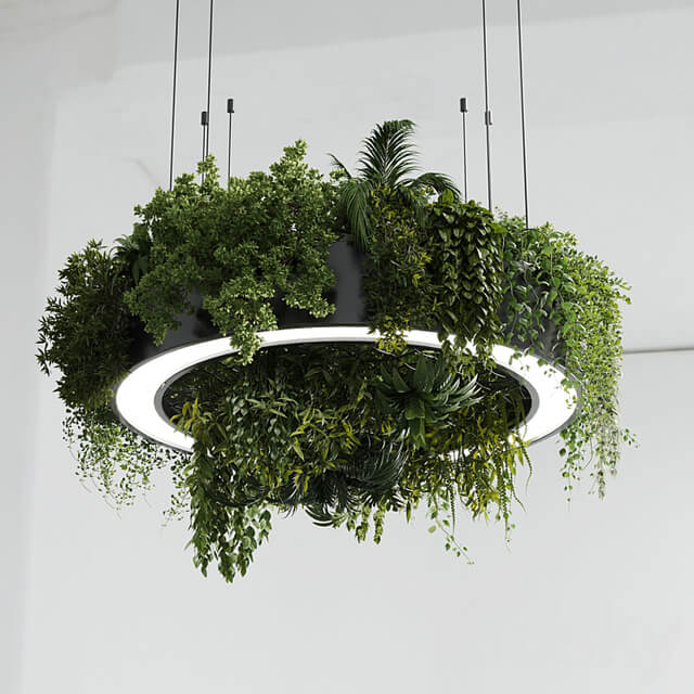 Circle pot light pendant plant light hanging 13 vray