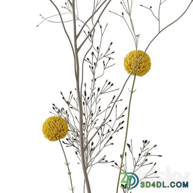 Decorative set 58 branch and candles
