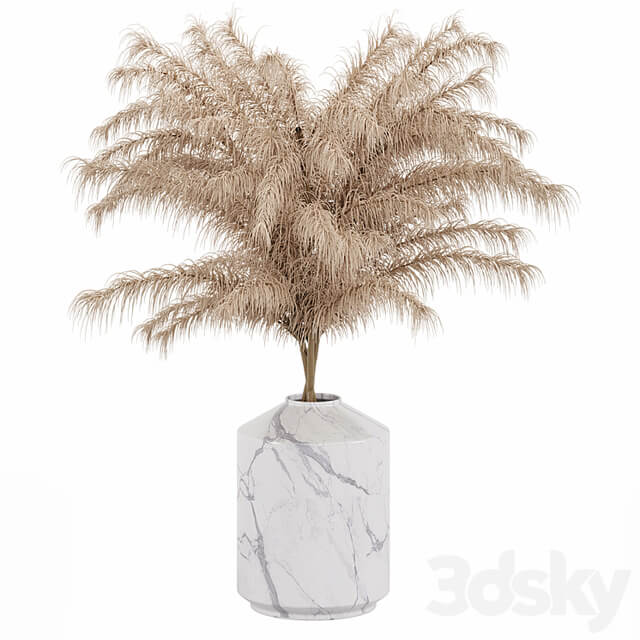 Dry Flower
