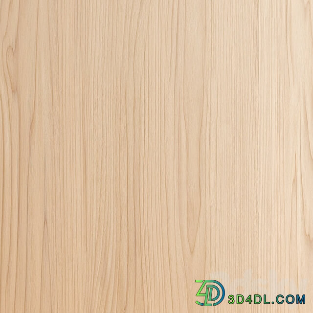 Wood material Oak 005 (Seamless texture)