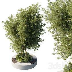 Urban Environment Urban Furniture Green Benches With tree 43 