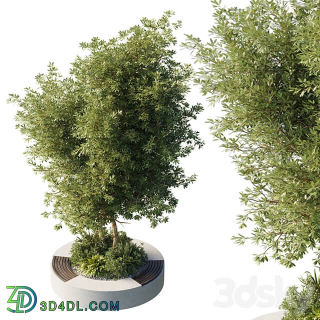 Urban Environment Urban Furniture Green Benches With tree 43