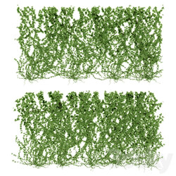 Wall of ivy leaves v4 3D Models 