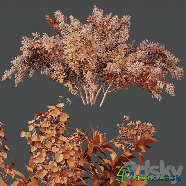 HQ Plants Myrtle White Flower little
