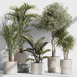 indoor plant set 68 