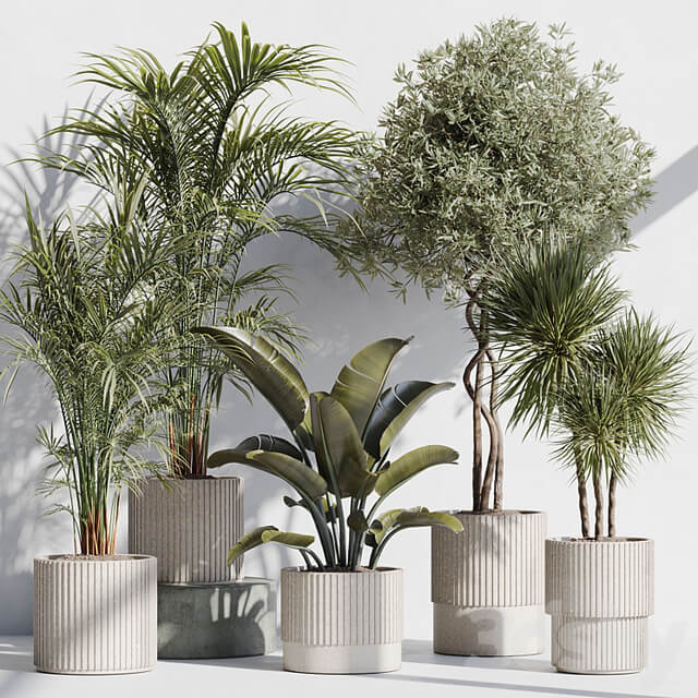 indoor plant set 68