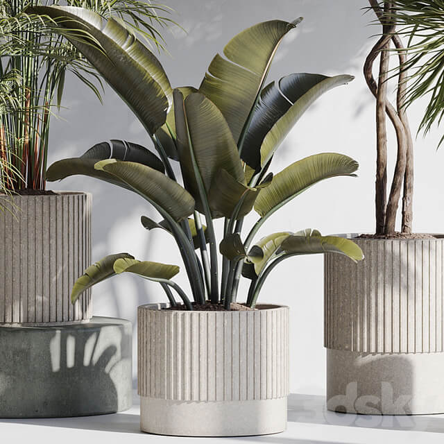 indoor plant set 68