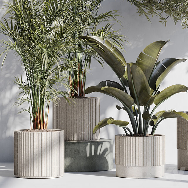 indoor plant set 68