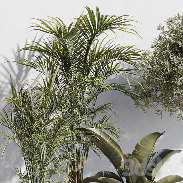 indoor plant set 68
