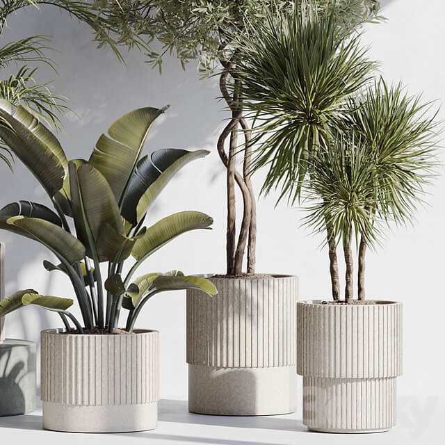 indoor plant set 68