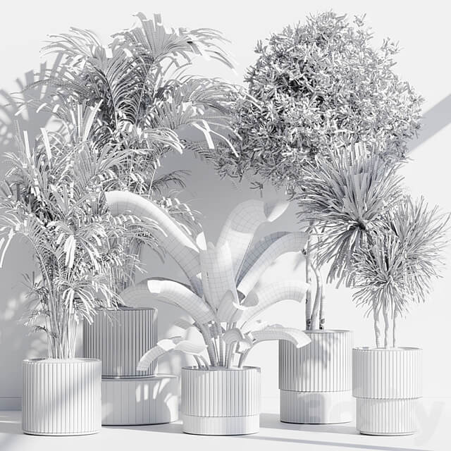 indoor plant set 68