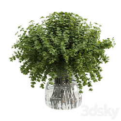 Branches plant with galss vase white bouquet 36 