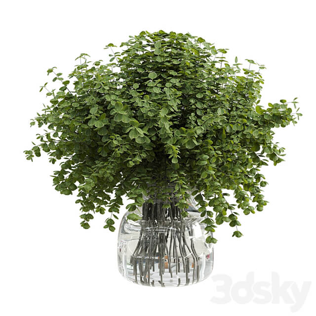 Branches plant with galss vase white bouquet 36