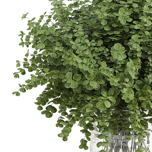 Branches plant with galss vase white bouquet 36
