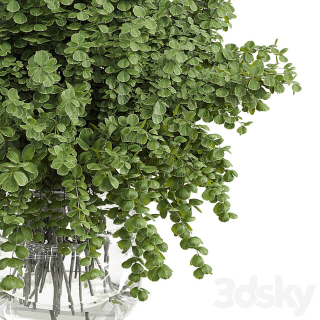 Branches plant with galss vase white bouquet 36