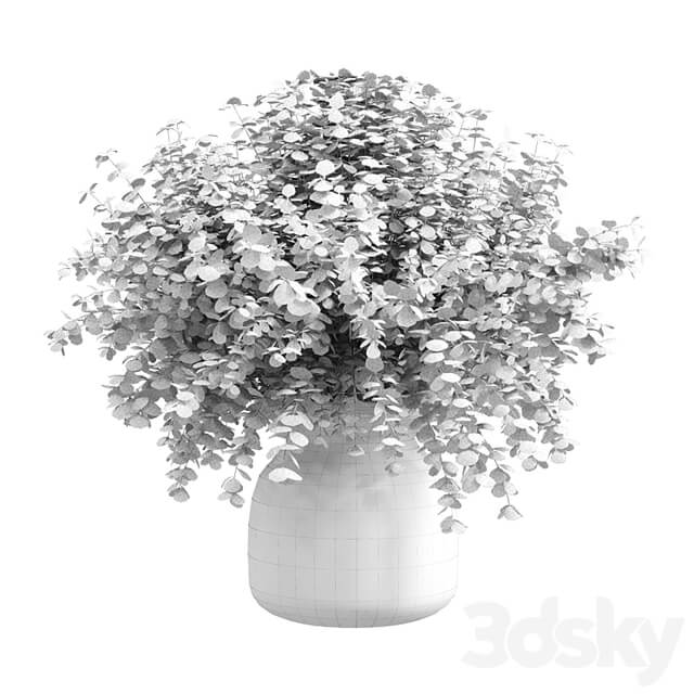 Branches plant with galss vase white bouquet 36