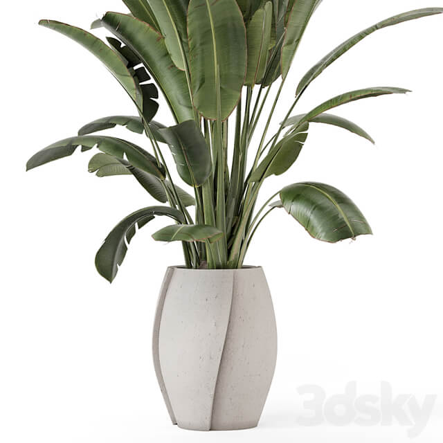 Indoor Plants in rusty Concrete Pot Set 1612