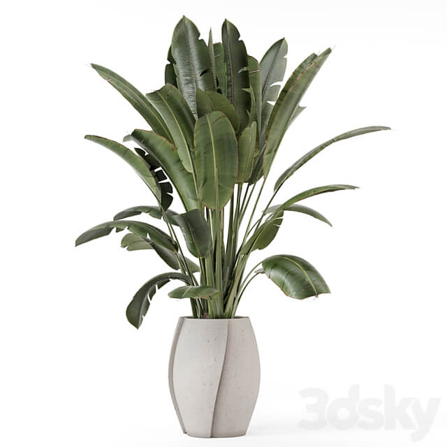 Indoor Plants in rusty Concrete Pot Set 1612
