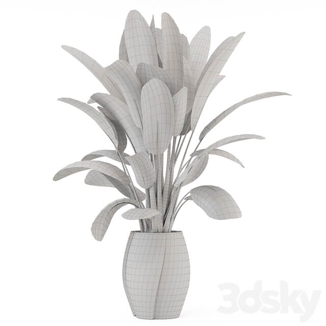 Indoor Plants in rusty Concrete Pot Set 1612