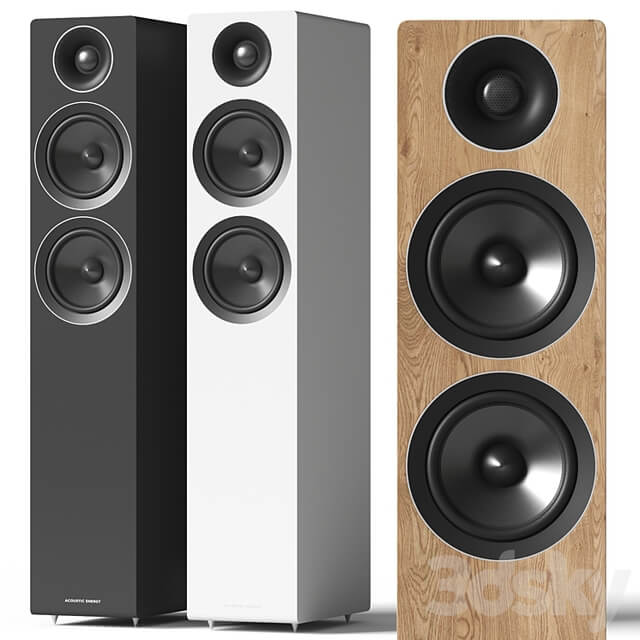 Acoustic Energy AE 309