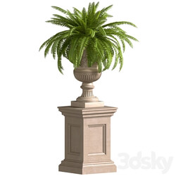 Fern in a classic Vase.Flower Urns For Front Entrance.Classic outdoor Vase.Flowerpot 
