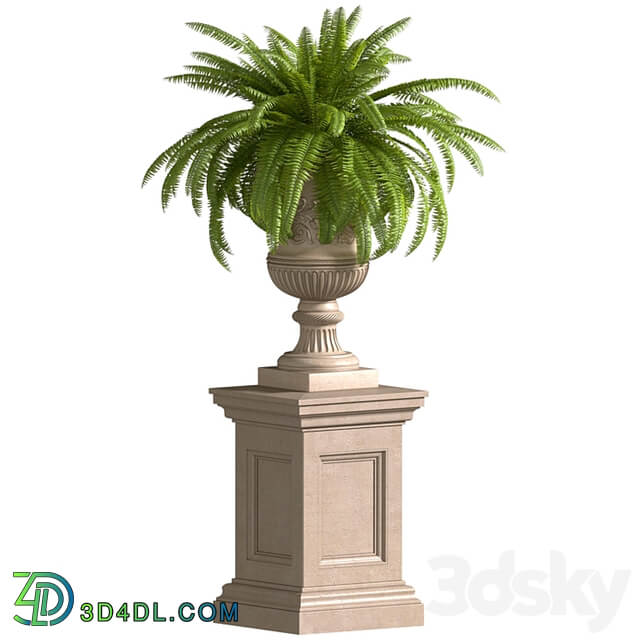 Fern in a classic Vase.Flower Urns For Front Entrance.Classic outdoor Vase.Flowerpot