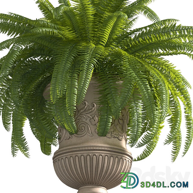 Fern in a classic Vase.Flower Urns For Front Entrance.Classic outdoor Vase.Flowerpot