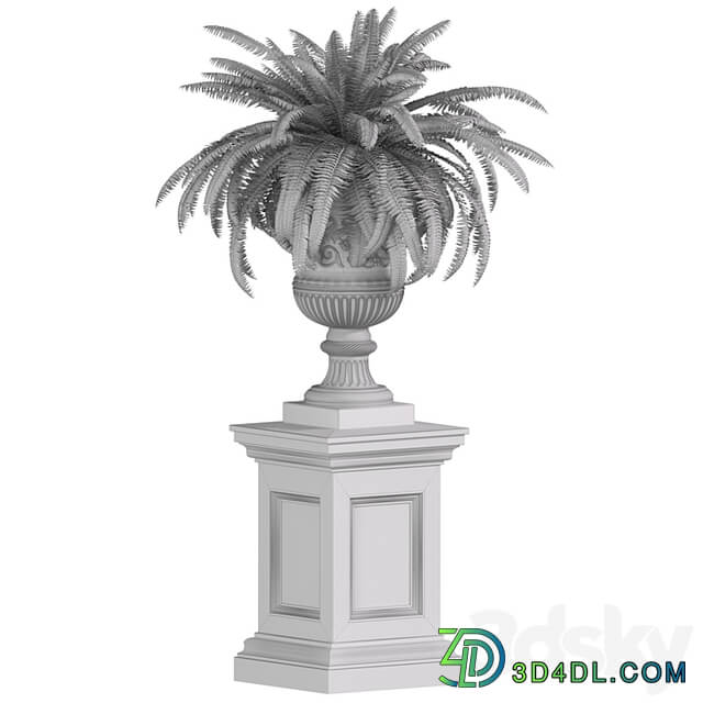 Fern in a classic Vase.Flower Urns For Front Entrance.Classic outdoor Vase.Flowerpot