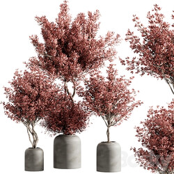 indoor plant set 21 