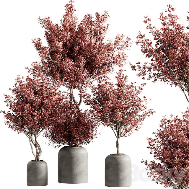 indoor plant set 21