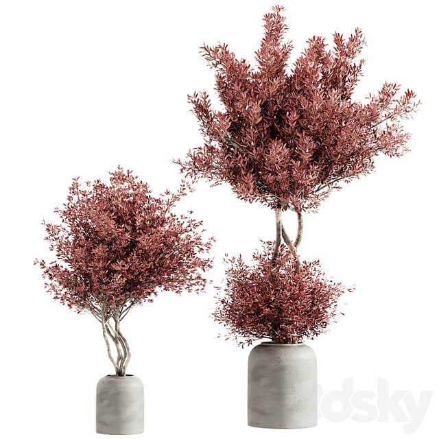 indoor plant set 21