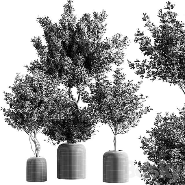 indoor plant set 21