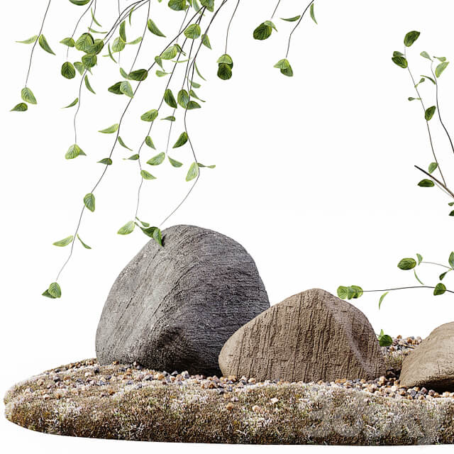 Decoration Indoor Plant