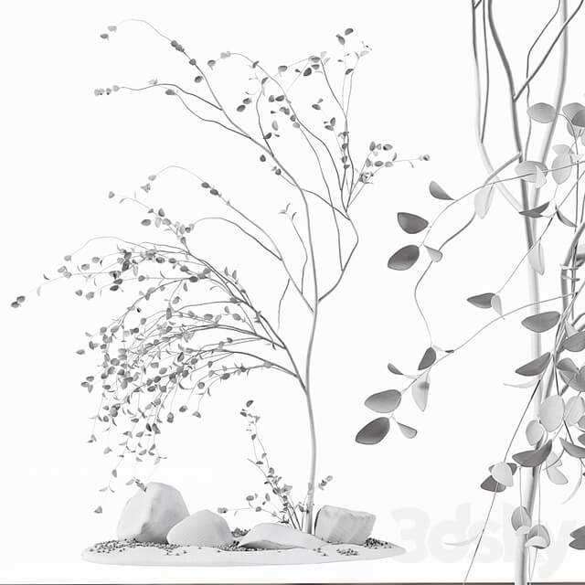 Decoration Indoor Plant