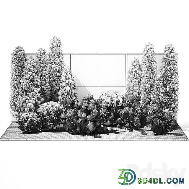 Plant collection 1377