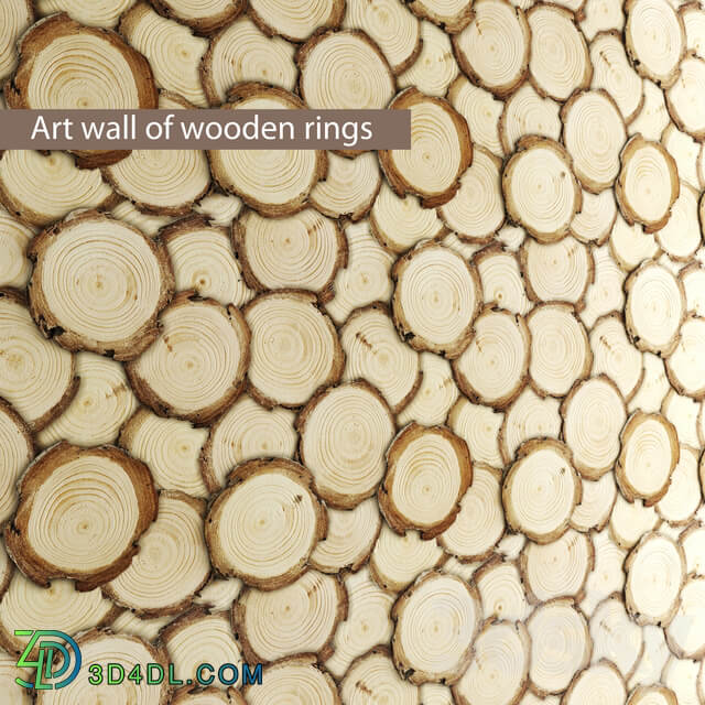 Art wall of wooden rings wall decor disks eco eco design panels Other decorative objects 3D Models