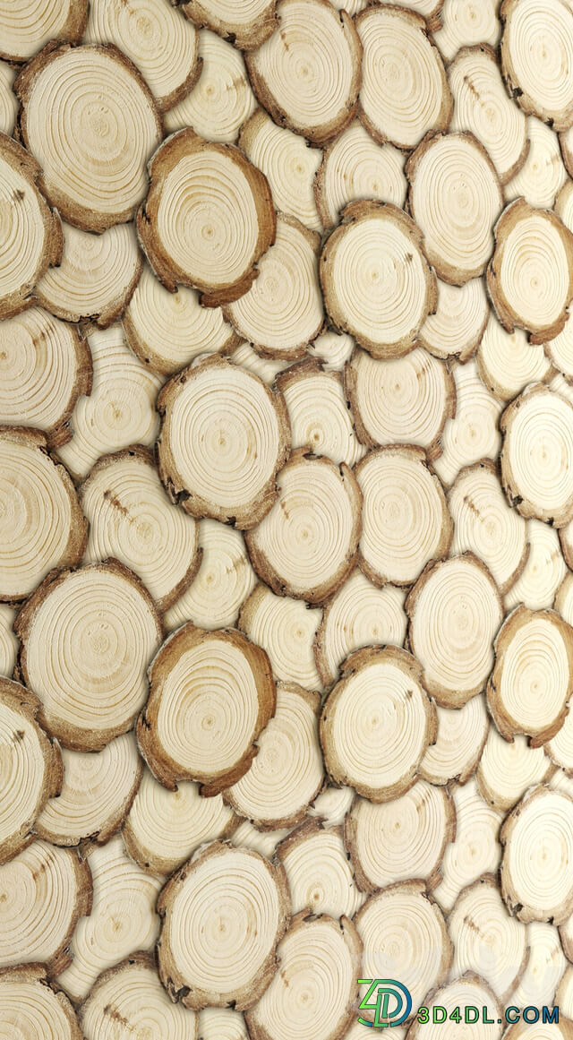 Art wall of wooden rings wall decor disks eco eco design panels Other decorative objects 3D Models