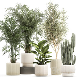 Plant collection 1380 