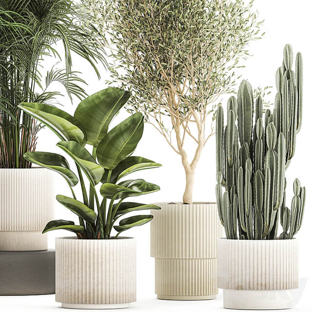 Plant collection 1380