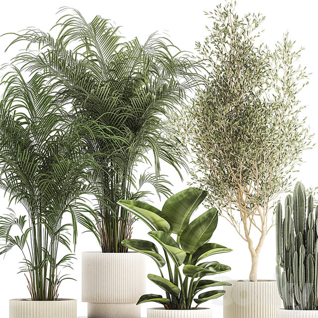 Plant collection 1380
