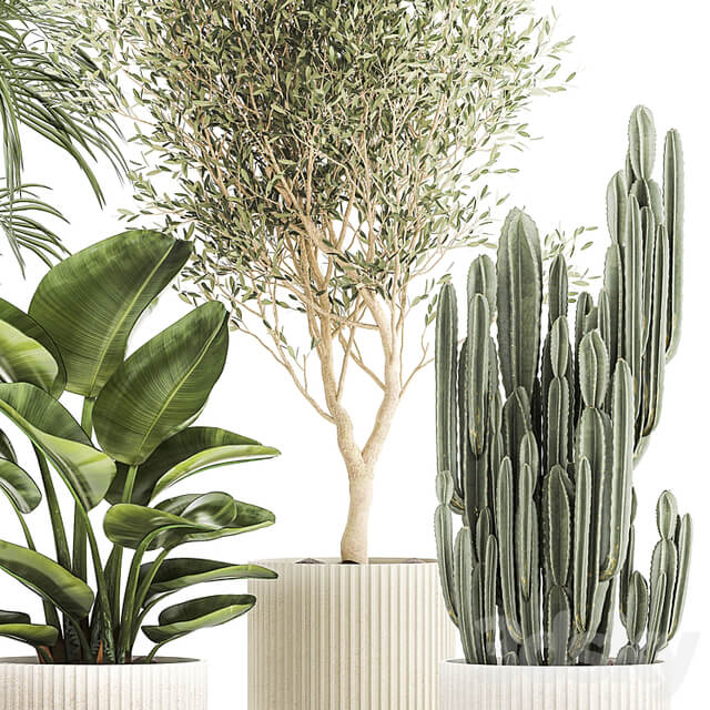 Plant collection 1380