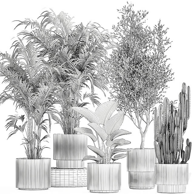 Plant collection 1380