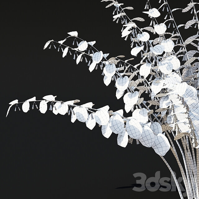 Kupena flowers | Polygonatum