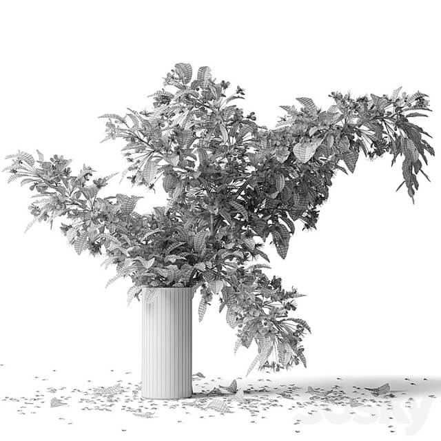 Bouquet blooming branch, spring flowers in a glass vase