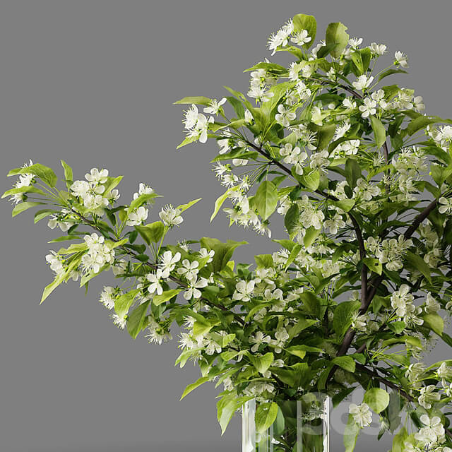 Bouquet blooming branch, spring flowers in a glass vase