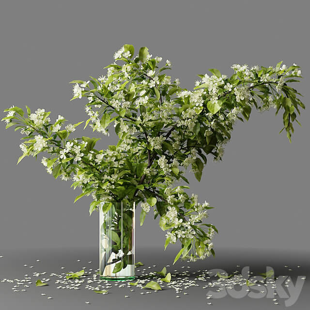 Bouquet blooming branch, spring flowers in a glass vase