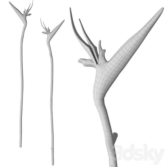 Door handles Strelitzia EA1061
